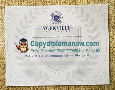 Yorkville University Diploma