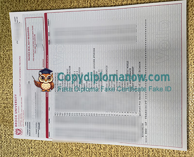 Brock University Transcript