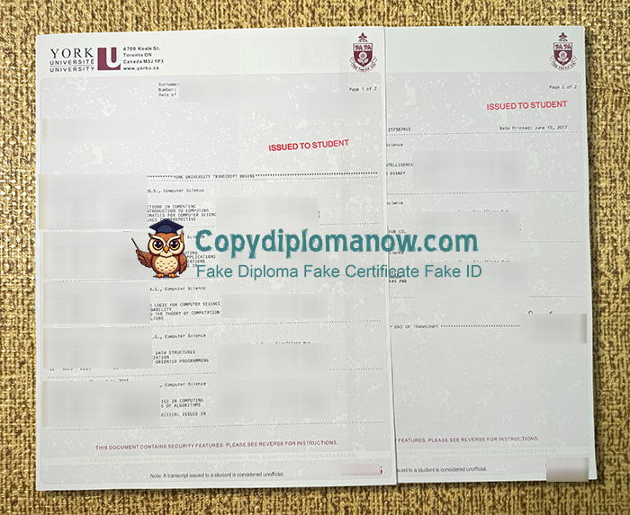 York University Transcript