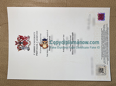 Cardiff University Degree