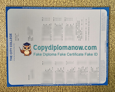 City College of New York Transcript