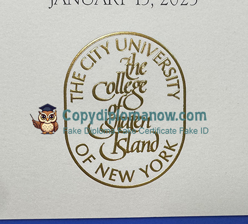 CSI Diploma seal