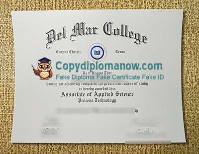 DMC Diploma