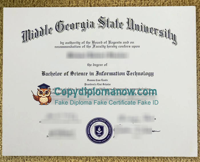 Middle Georgia State University Diploma