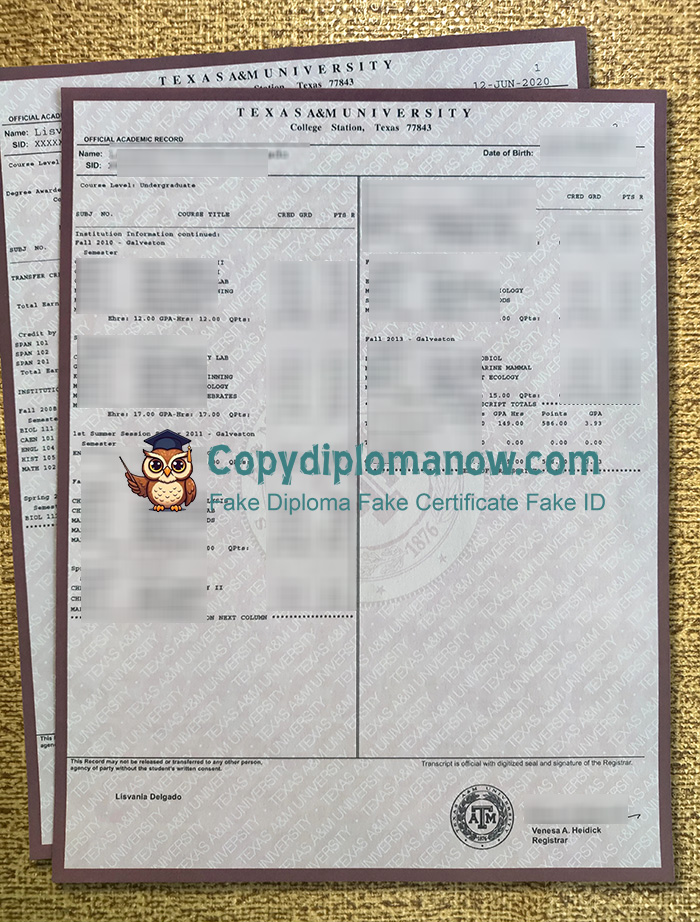 Texas A&M University Transcript