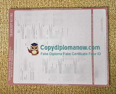 University of Minnesota Transcript