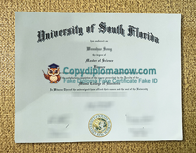 University of South Florida Diploma