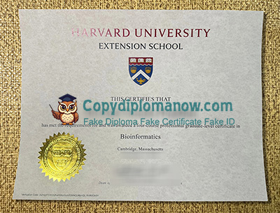 Harvard Extension School Diploma