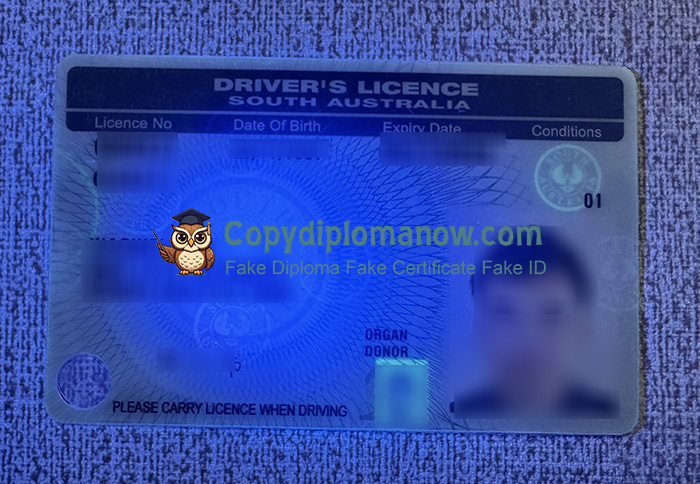 South Australia Driver's License, South Australia ID