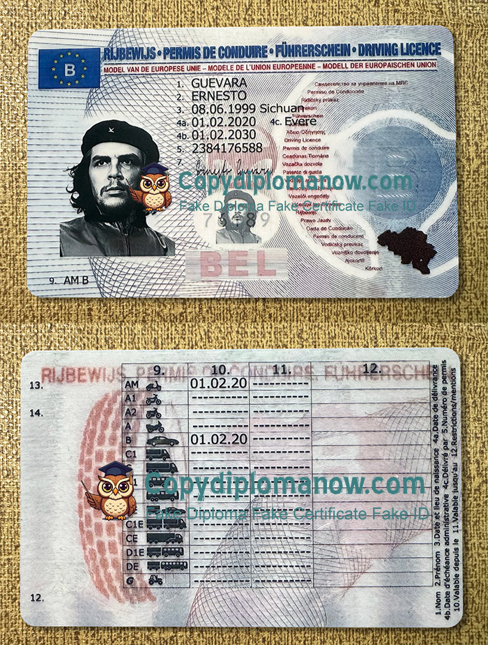 Belgian ID, Belgian Driving license