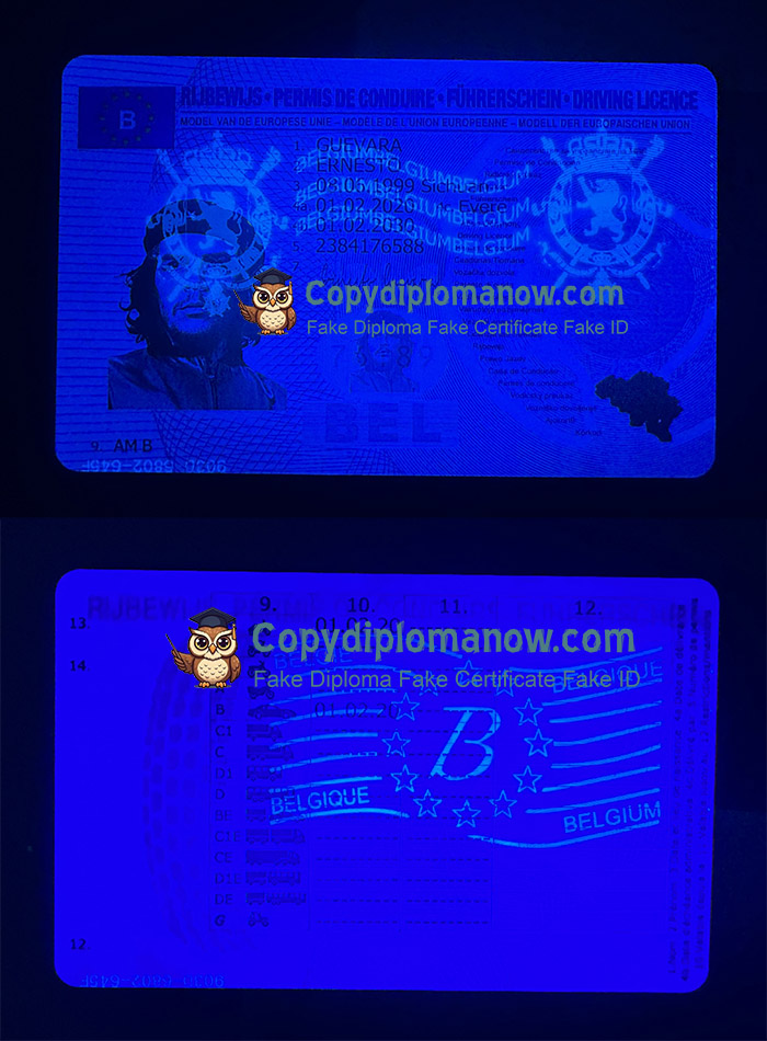 Belgian ID, Belgian Driving license