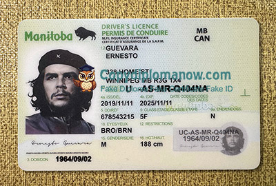 Manitoba Driver's licence