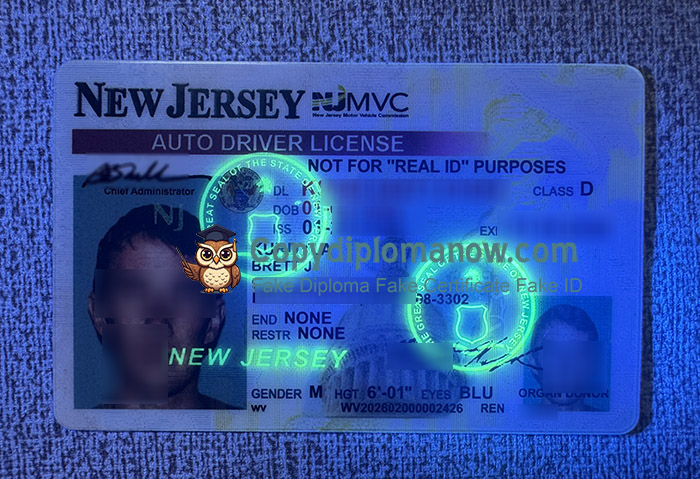 New Jersey Driver's Licence