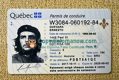 Quebec Driver's Licence