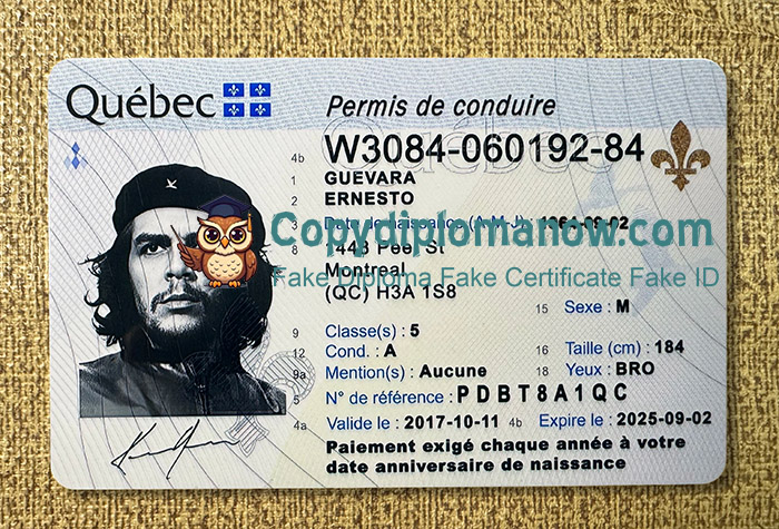 Quebec Driver's Licence, Quebec ID