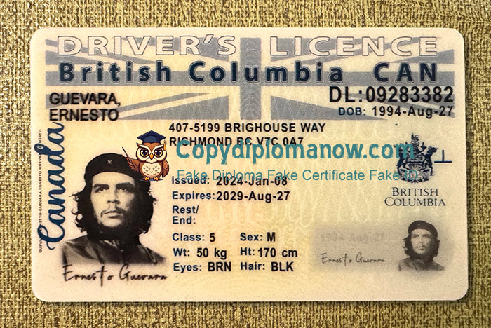 British Columbia Driver's Licence, British Columbia ID