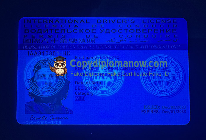 International Driving License